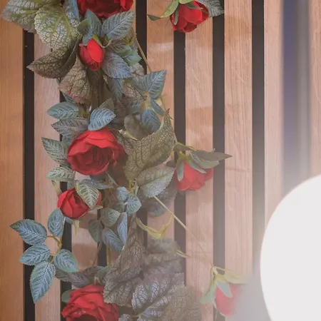 Appartement Cosy Avec Jacuzzi Prive Béziers